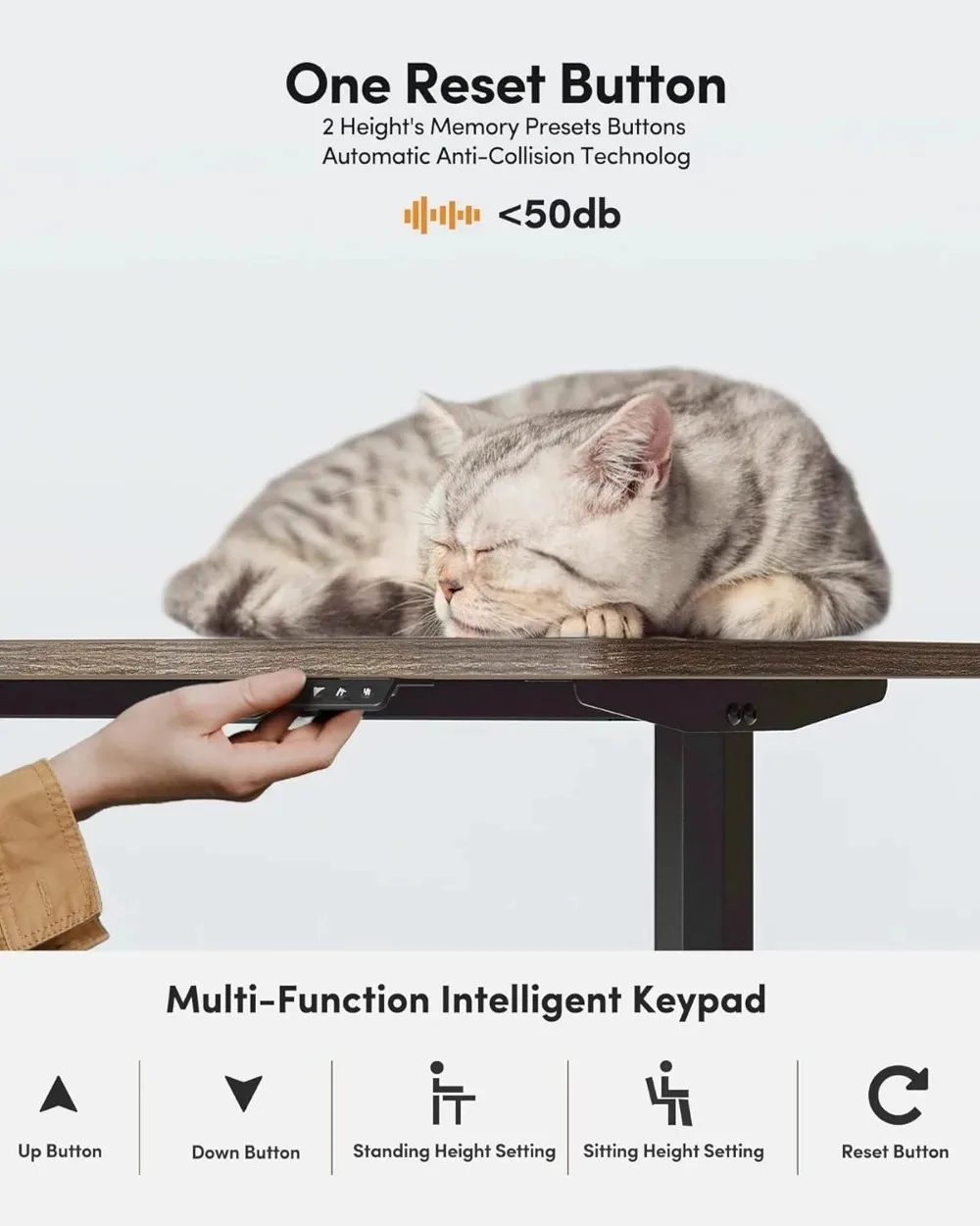 Electric Height Adjustable Standing Desk, 55x24 Inches Sit Stand Home Office Table with Splice Board, Rustic Brown