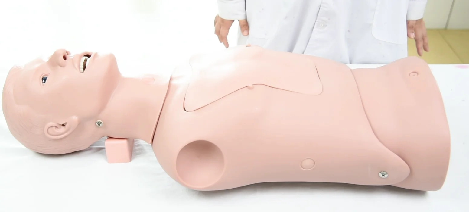 Medical Science Half Body Stomach Tube Airway Management Care Training Manikin Nasogastric Feeding Tracheal Intubation Simulator