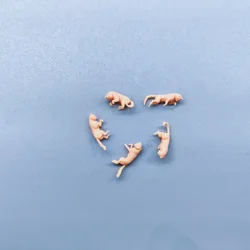 1/64 1/43 Figurines Scale Model Resin 5 Lying Lazy Cats Uncolored Miniatures Diorama Hand-painted W004