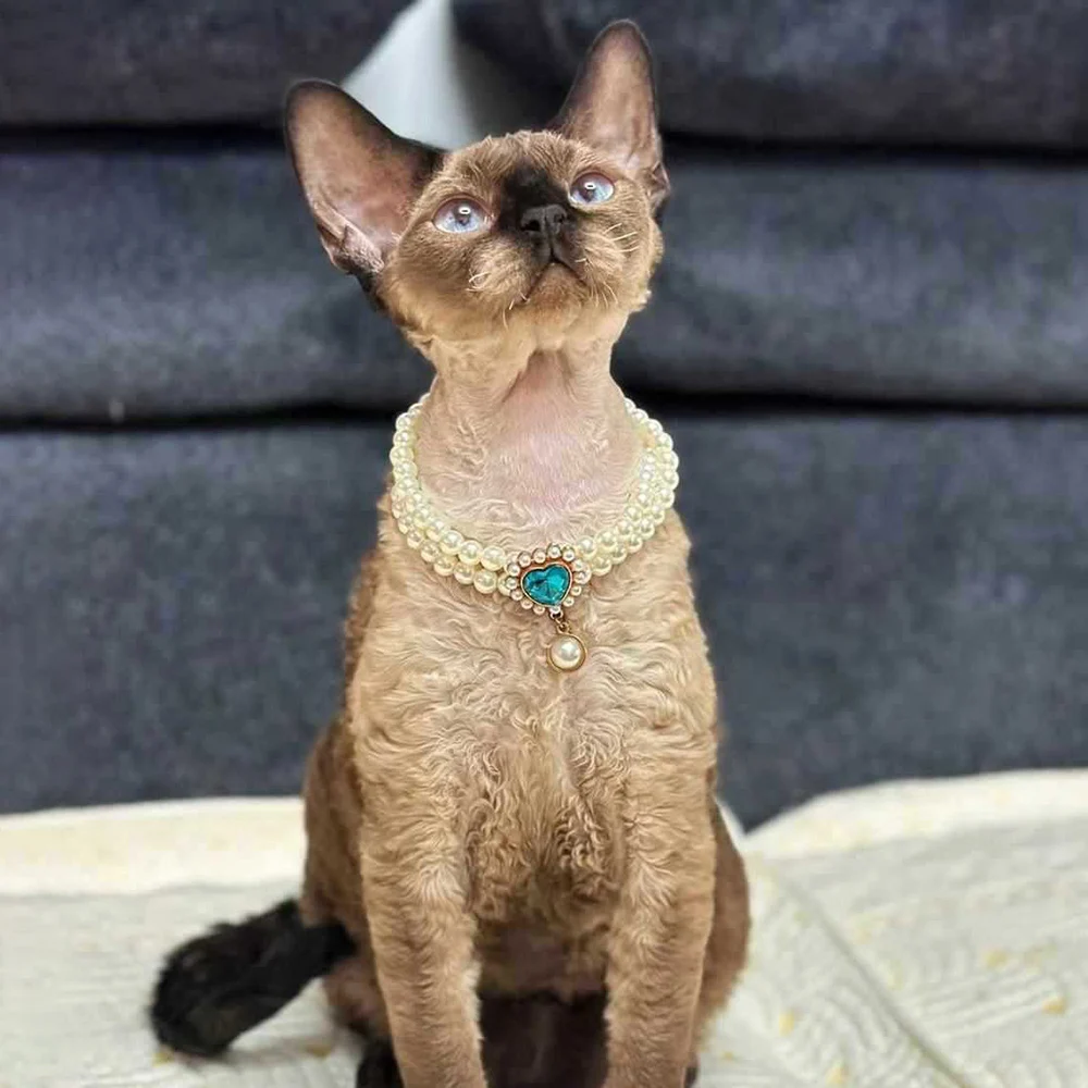 Pearl necklace jewelry small dogs puppies cats wedding collar