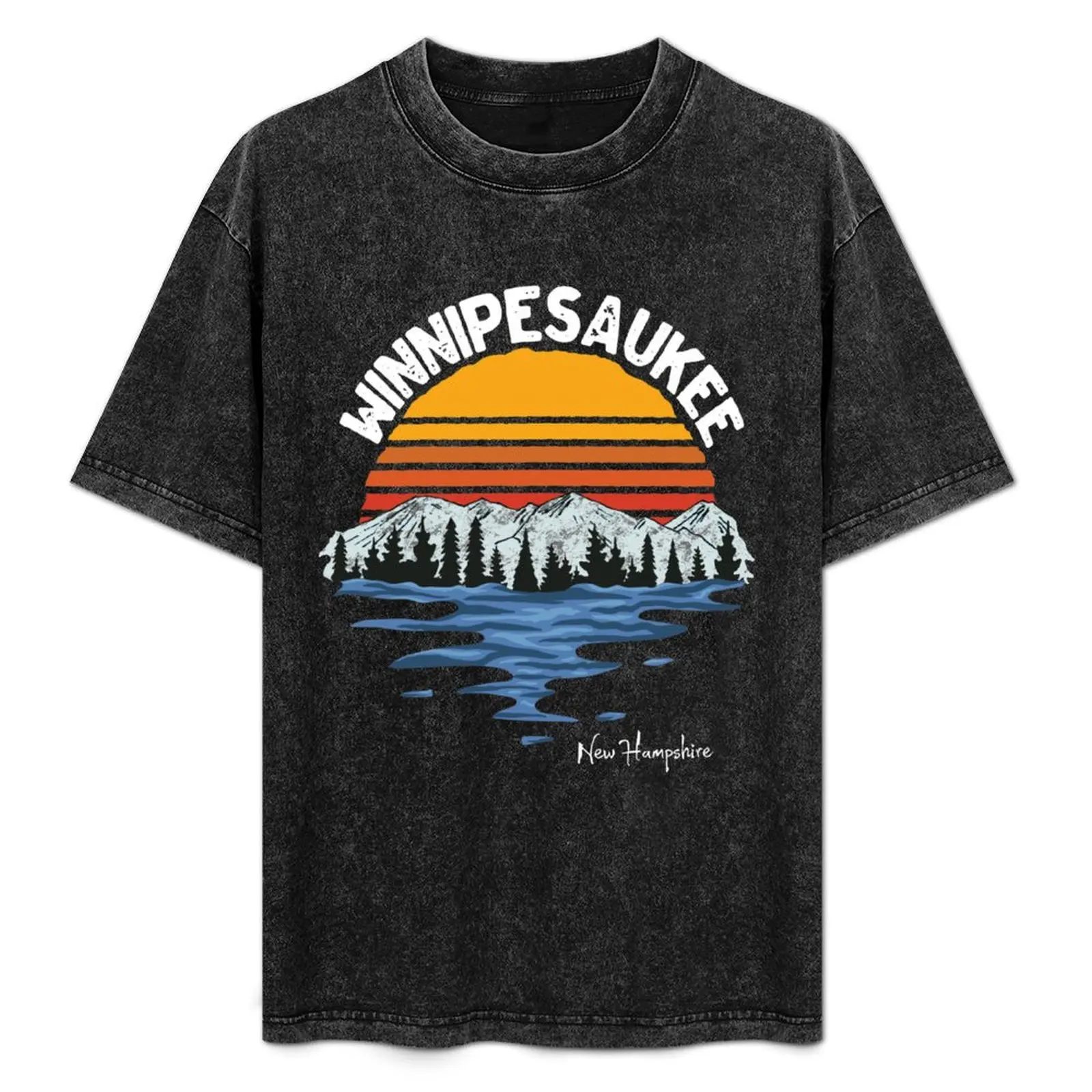 

Винтажная сувенирная футболка с изображением озера Виннипесакуи, штат Нью-Гэмпшир, уличный стиль, большие размеры