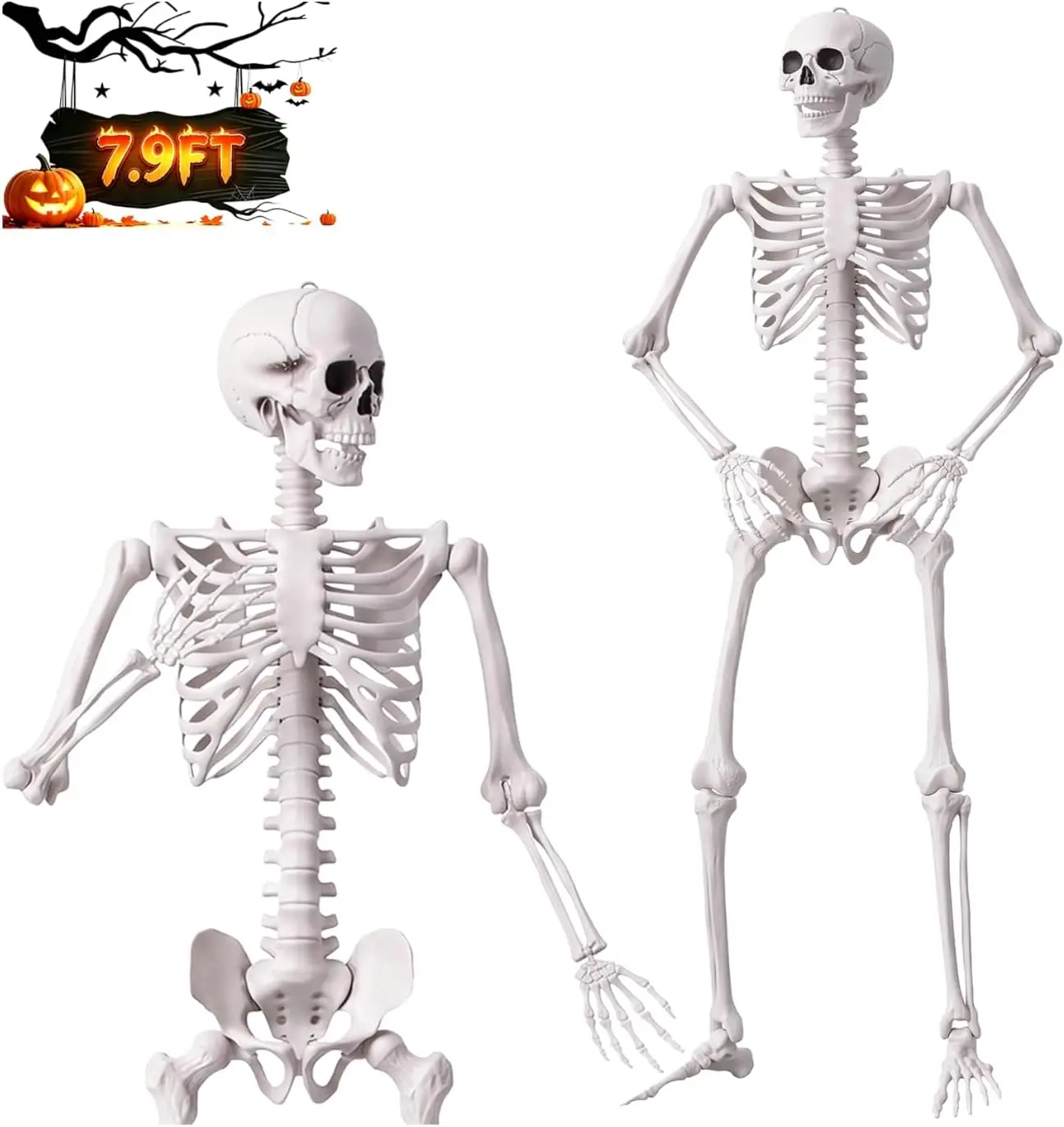 Halloween Tall Outdoor Skeleton, 7.9FT/240CM Huge Oversized Human Skeleton