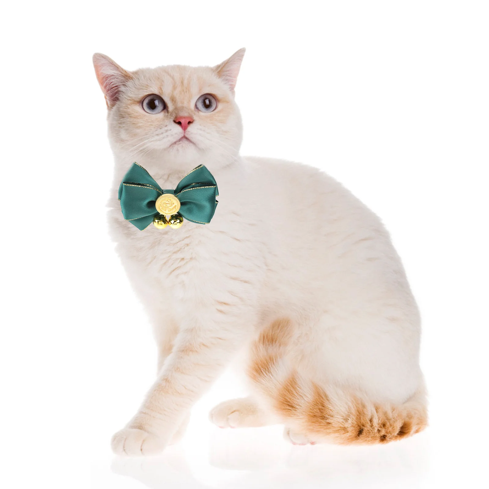 

Pet Collar Collars Dog Accessories Cat Necklace Bell Puppy Bowtie for Dogs Golden Retriever