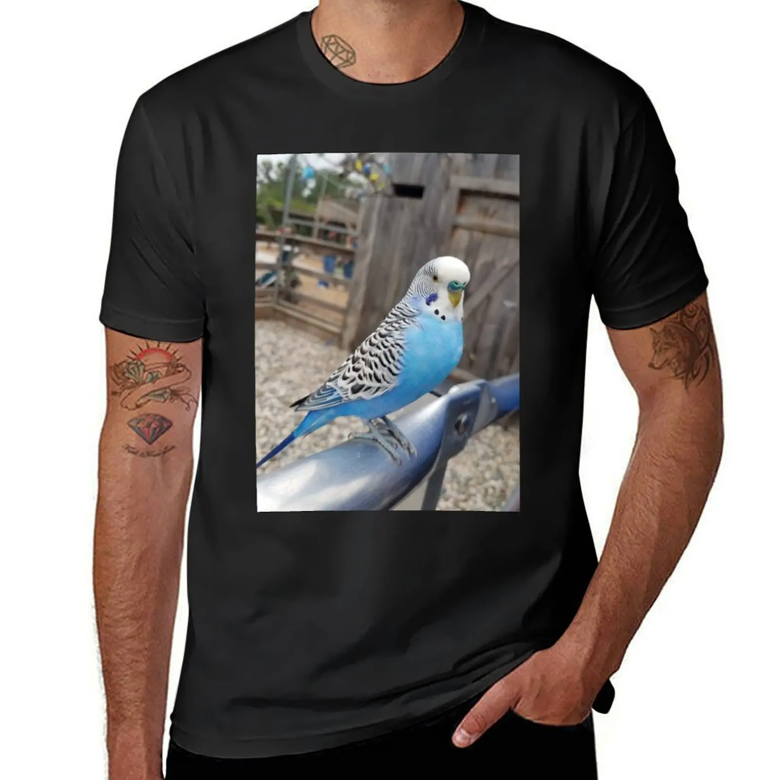 Blue & White Parakeet Sitting T-Shirt heavyweights new edition t shirts for men