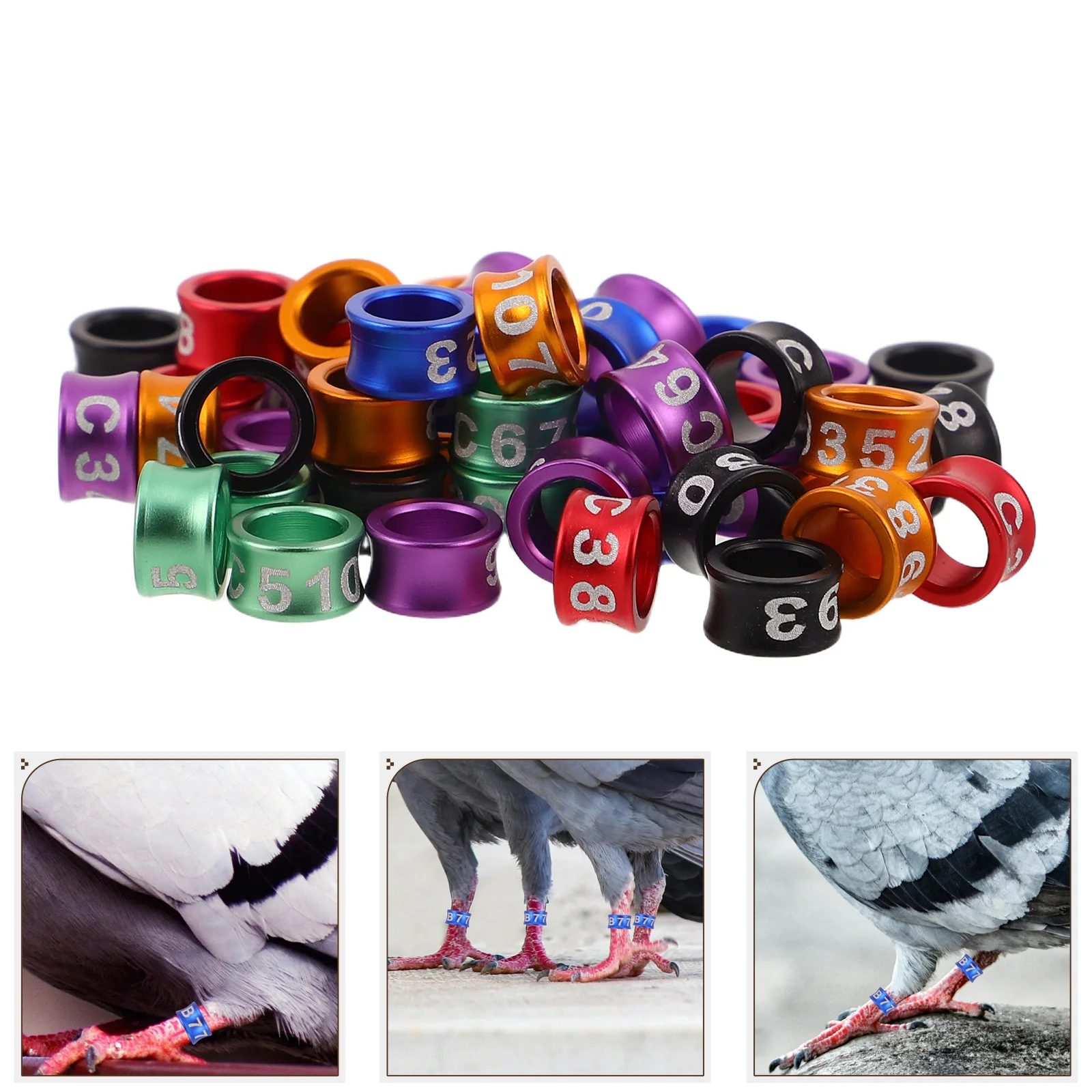 

50pcs Parrot Leg Bands Bird Foot Rings Colorful Poultry Identification Tags For Small Parrots Chickens Doves Quail Farm Animal
