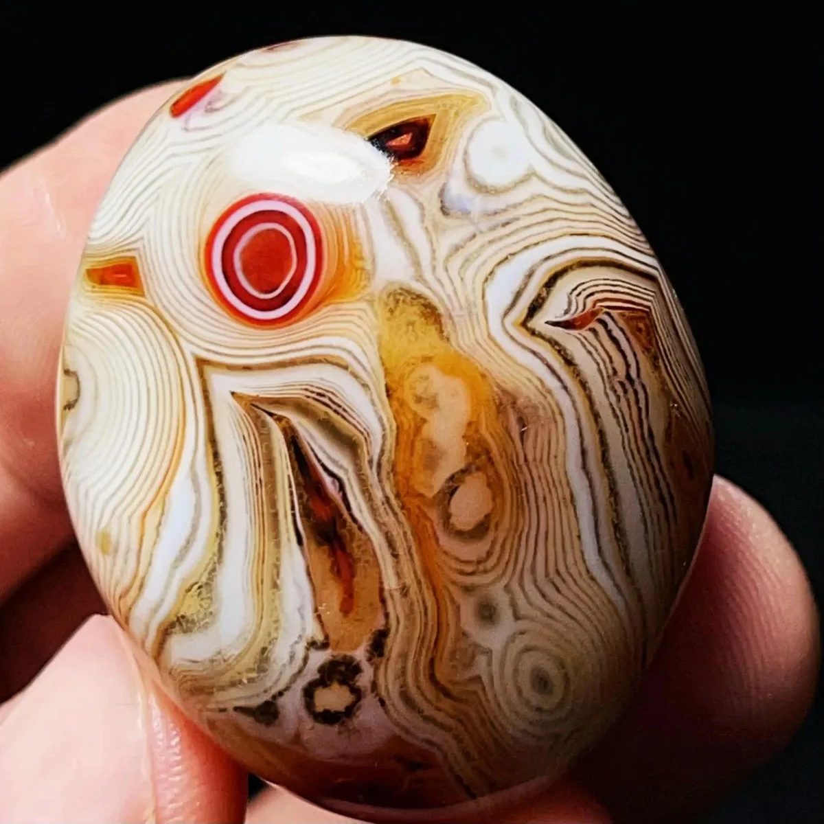 Large Multi Color Banded Agate Palm Stone, Polished Tumbled, Display Stone, Shelf Display, Natural Stone, Crystal Collection