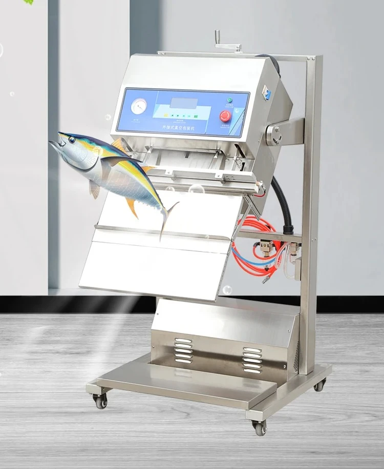 

High Efficiency DZ-600W Vertical External Vacuum Sealing Machine – Stand Type Commercial Sealer