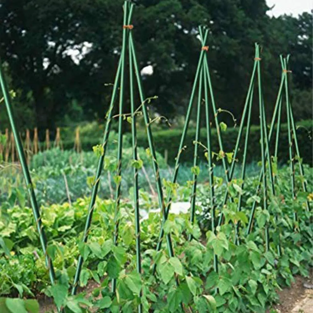 Paquete de 25 estacas de Metal recubiertas de plástico para plantas, soportes para escalar tomates, árboles, pepino, vallas, frijoles, 40cm