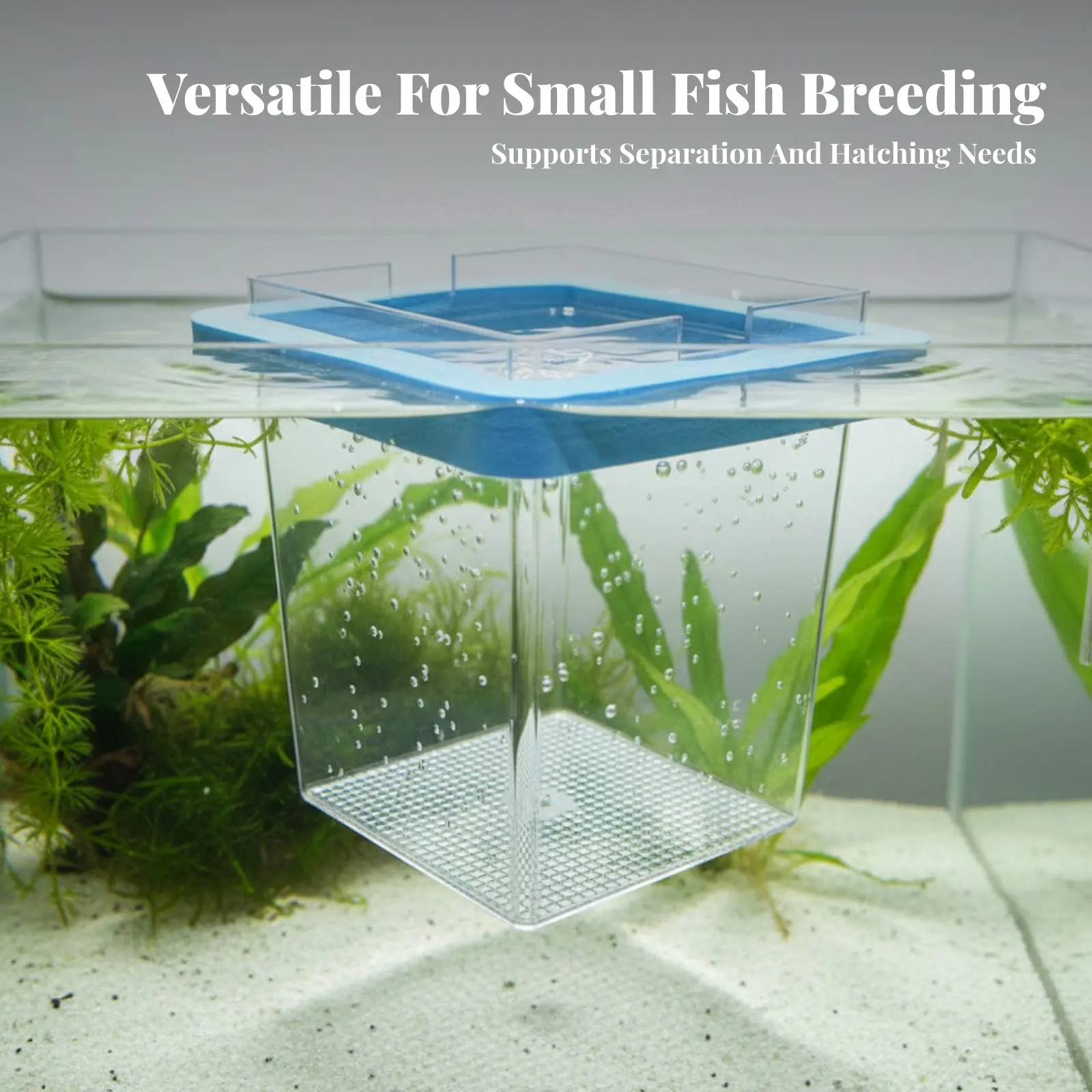 Recinto Flutuante de Alta Transparência para Criação de Guppies, Caixa de Reprodução Flutuante, Incubadora Aquática, Habitat Aquático Fácil de Limpar