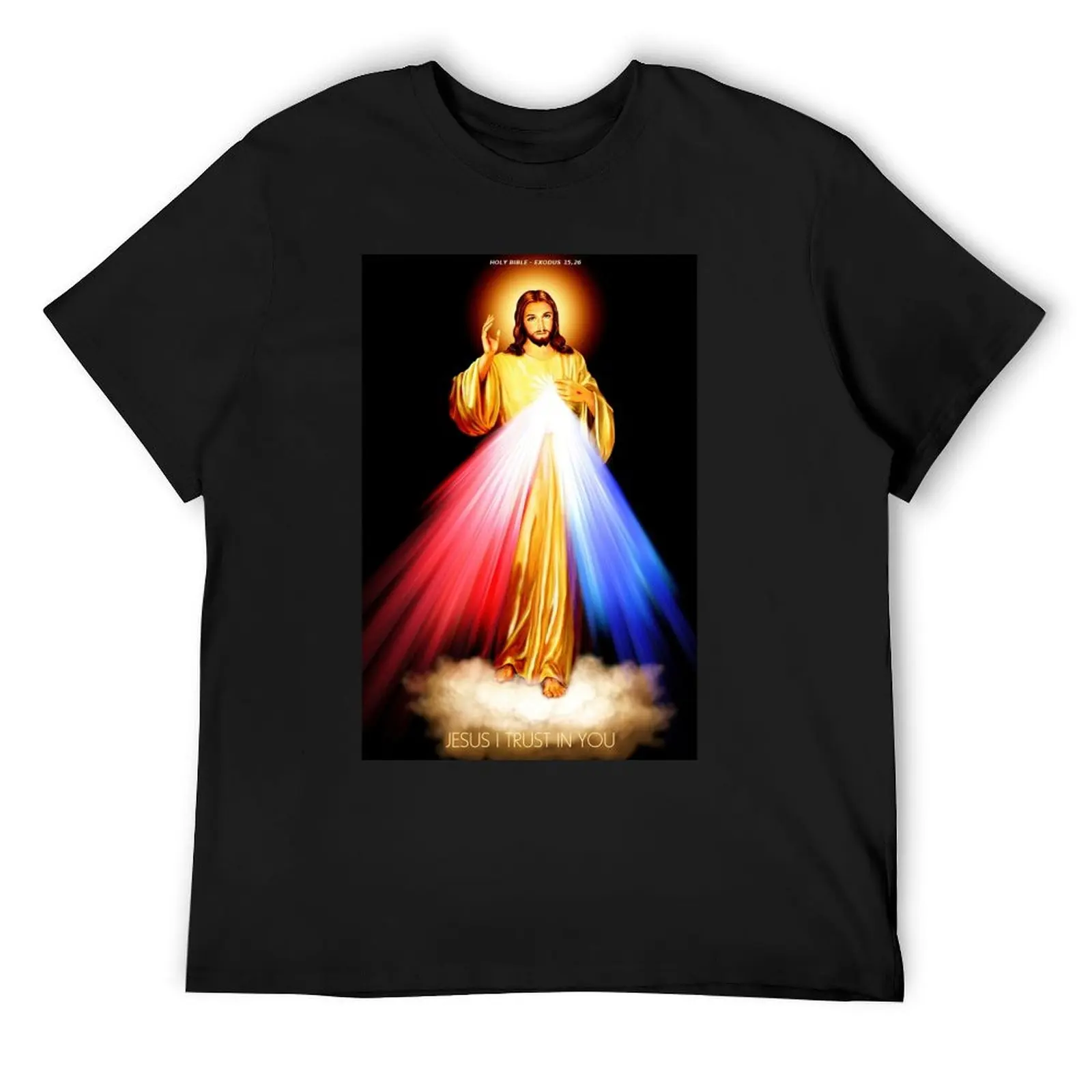 

Divine Mercy Lord Jesus I trust in you T-Shirt cute clothes funny gifts shirts graphic tees tee shirts for men