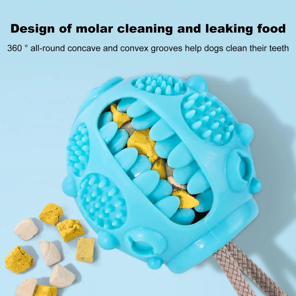 Durable Dog Toy Dog Toy for Strong Chewers Dog Puzzle Toy Set for Mental Stimulation Teething Relief Suction Cup for Boredom