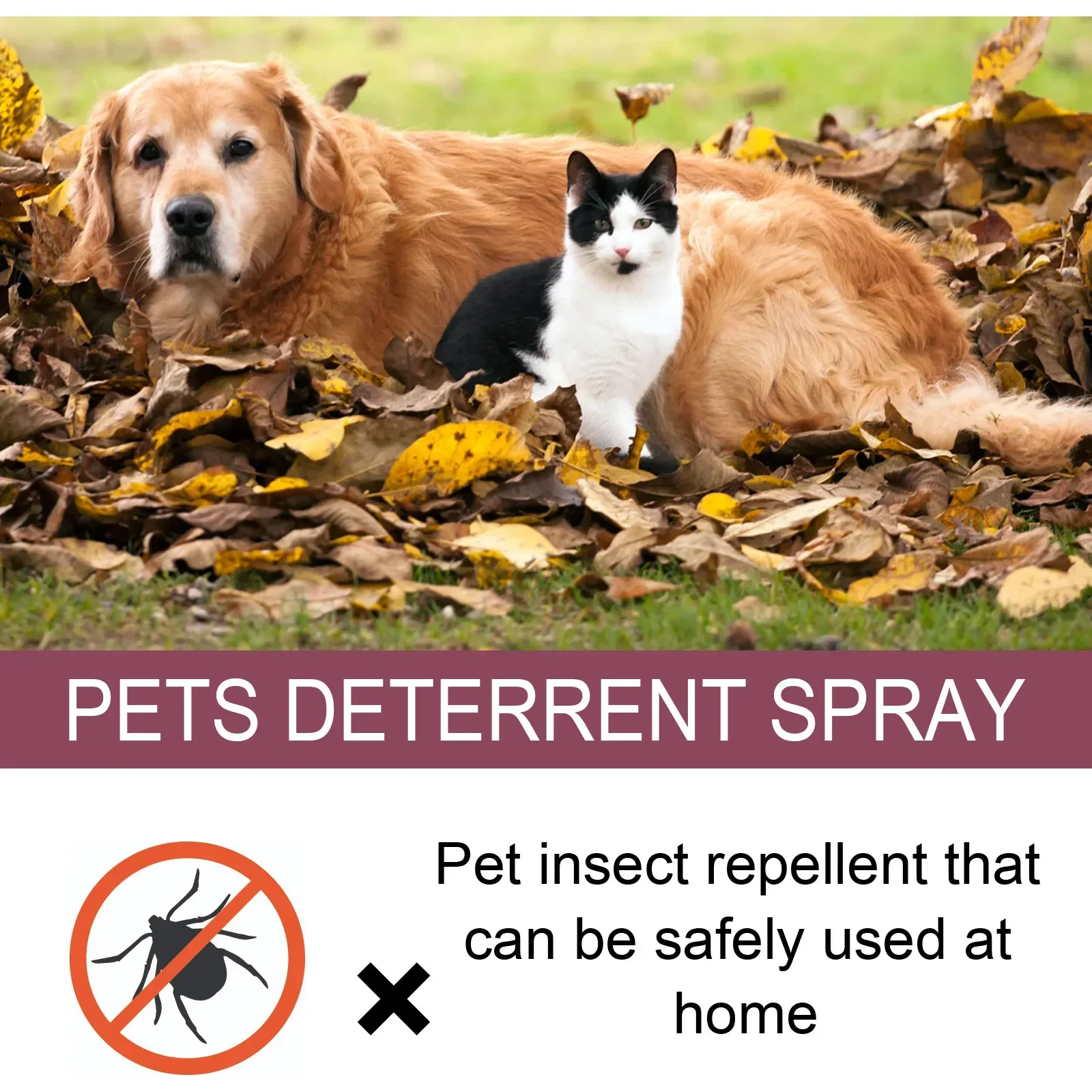 Pet insect repellent spray Drive away fleas lice ticks Sterilization Relieve skin itching Suitable for deworming cats and dogs