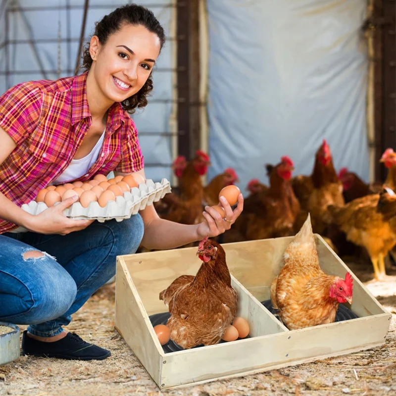 8 Pack Washable Chicken Nesting Pads For Laying Eggs, Nesting Box Liners For Chicken Coop Reusable Chicken Litter