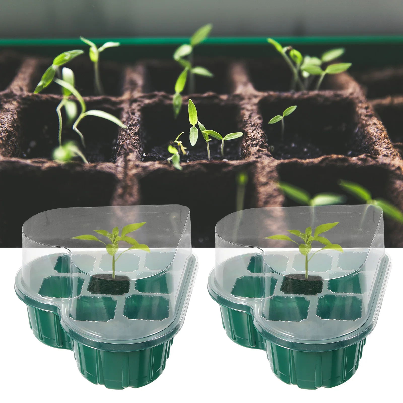 

2 set 2 Sets Plastic Starter Trays Sprouting Boxes Indoor Greenhousemicrogreens Growing Kits Cell Seedling Trays Vegetable