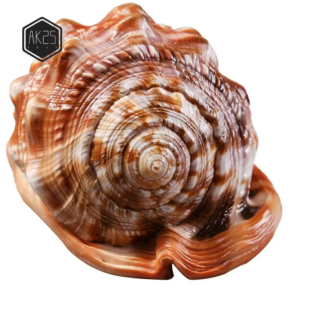 

AK25-Natural Bull's Mouth Helmet Conch Shell Coral Sea Snail Fish Tank Adorn Ornament 1Pcs