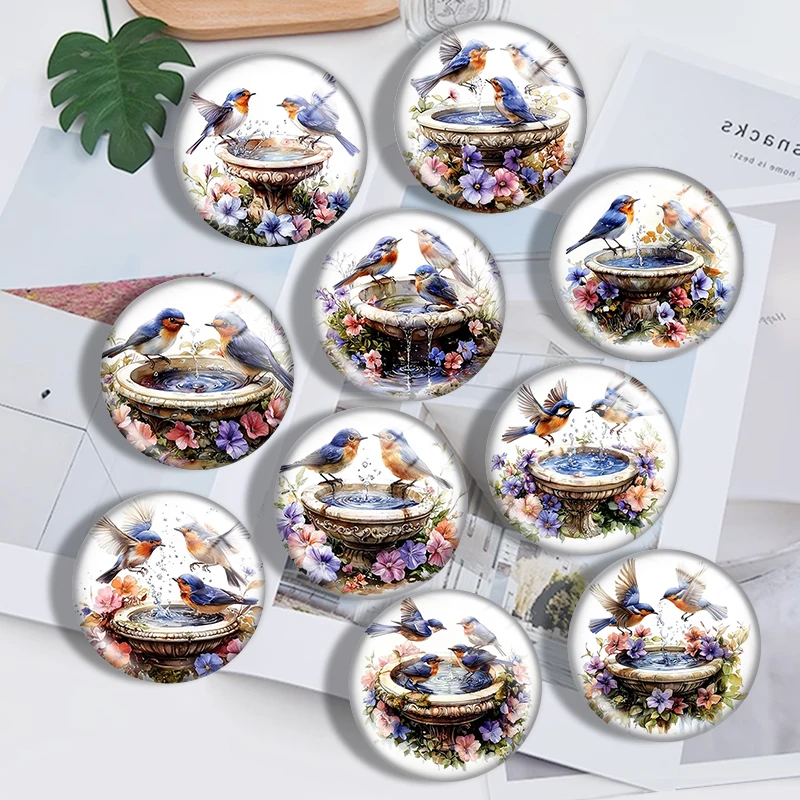 Colorful bird playing in wa 10pcs 12mm14mm/16mm/18mm/20mm/25mm Round Photo Glass Cabochon Demo Flat Back Making Findings Jewelry