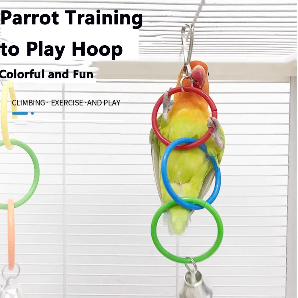 Anneau en plastique coloré pour oiseaux, chaîne de jeu, crochet rond, balançoire, Cage d'escalade, jouets avec cloche, décoration pour perroquets, décoration de Cage à oiseaux