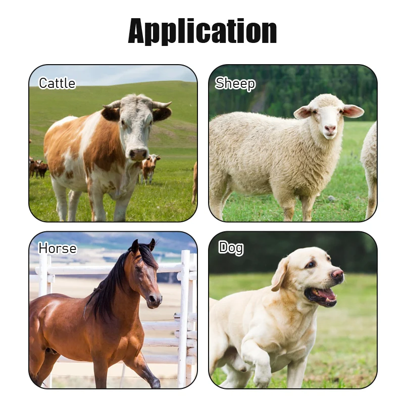 50/100pcs Cattle Pig Sheep Hanging Tags TPU Identification Card Plastic Farm Animals Cattle Identification Carrying Tag Supplies