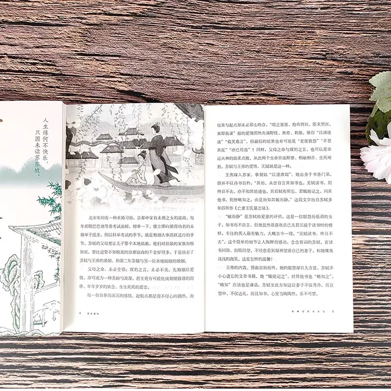 Biografía de Su Dongpo, Biografías de Su Shi, Figuras y Libros Históricos