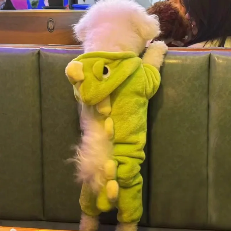 #7 Budget Puppy Coats for Smart Shoppers