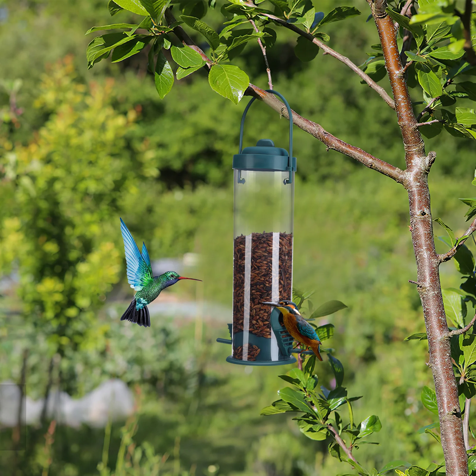 

1pcs Hummingbird Clear Automatic For Outdoors Dual Outlet Hanging Wild Feeding Holder Small Bird Feeder Tube Balcony Pet Bird