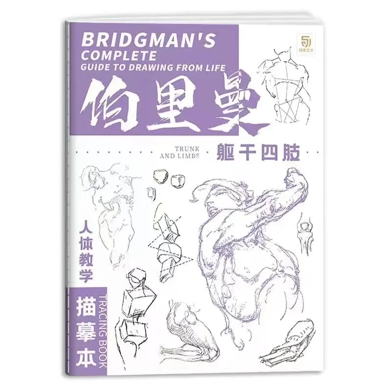 Bridgman's Complete Guide To Drawing From Life Tracing Sketch Hand Painted Tutorial Book Copy Practice Line Draft Practice Books