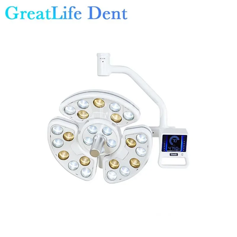 Movable Dental Surgical LED Lamp, Operação Luz, Stand, Hospital, Clínica