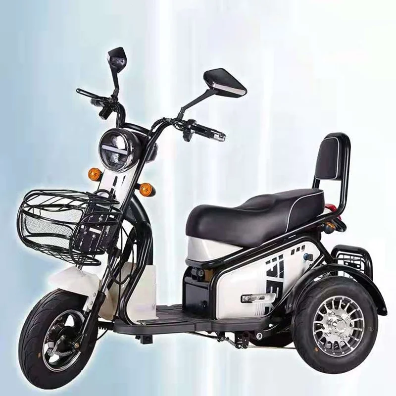 

Cheap 500W Electric 3 Wheel Small Tricycle Made in China