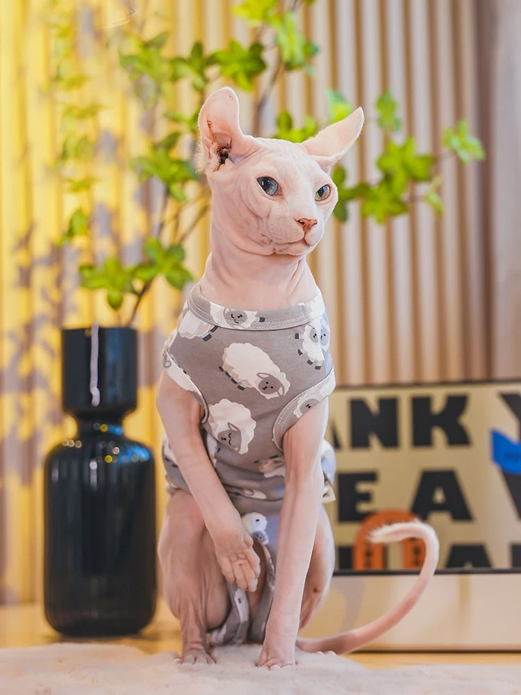 Gray Pattern Cat Clothing Spring Summer Cotton Shirt for Sphynx Fashion Short Sleeves Coat Cats Cartoon Jumpsuit For Devon Rex