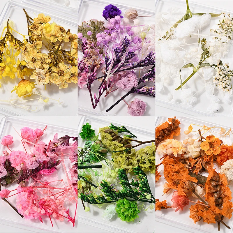 Dried Flower Sequins Diy Epoxy Mould Filling Nail Art Color Mixed Dried Flower Patch Jewelry Accessories Crafts