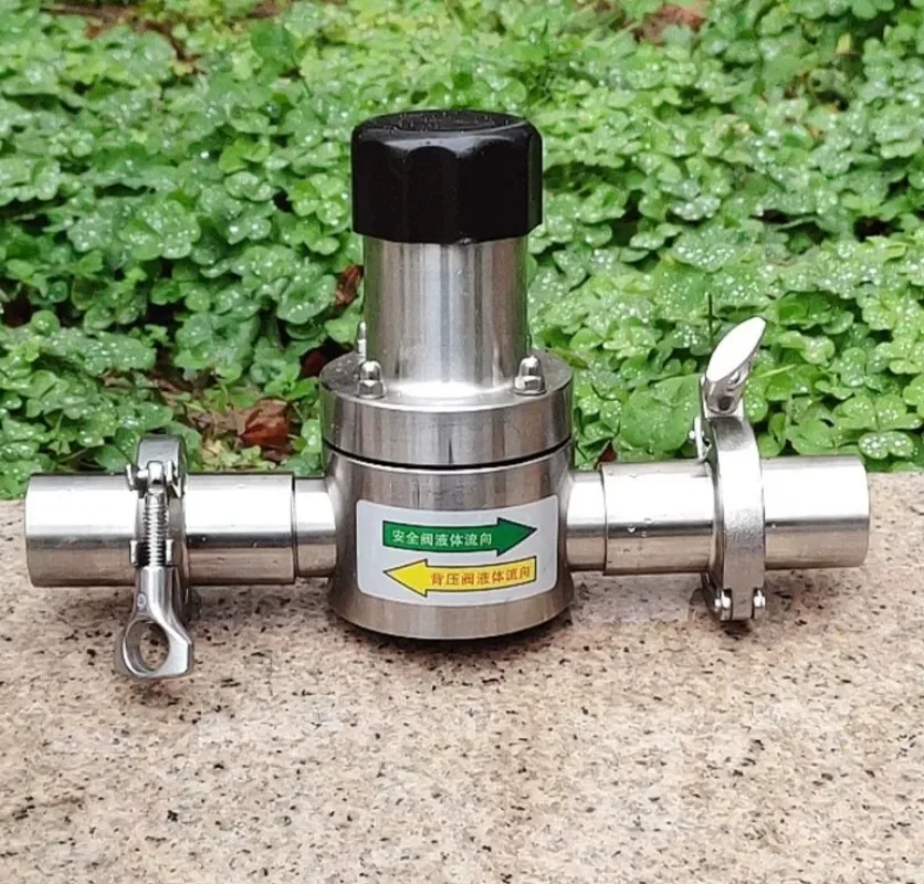 Stainless Steel Back Pressure Valve, Spring Pressure Regulating Check Relief Valve DN65 DN80 DN100 Flange for Metering Pump