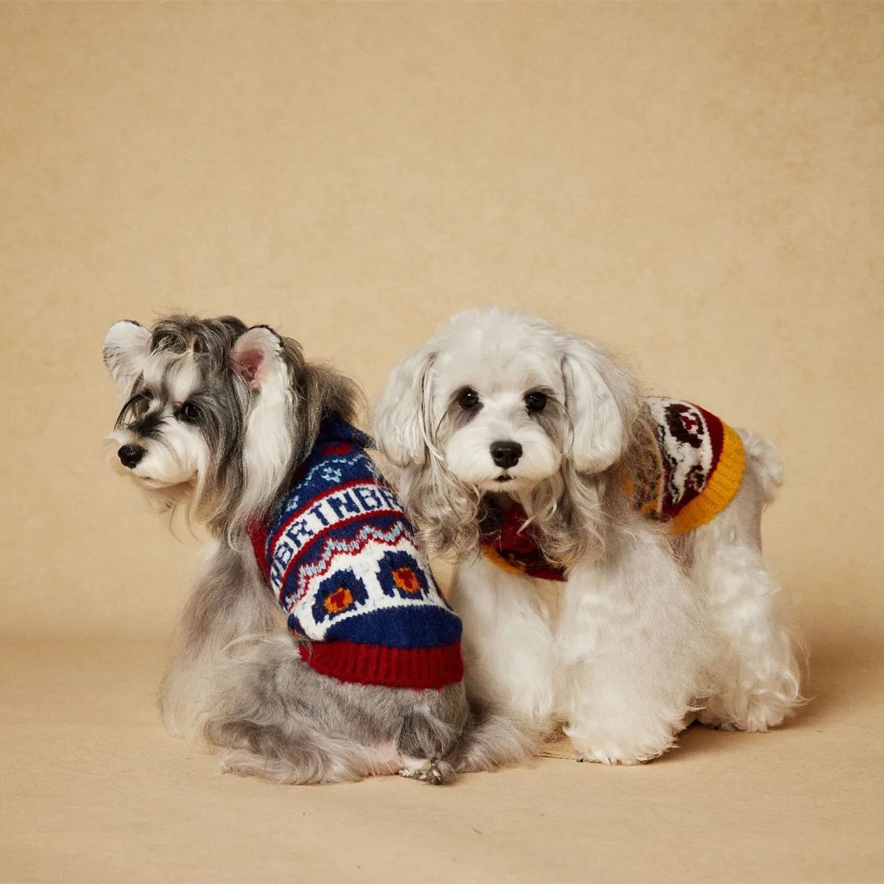 

European Retro-Style Red Blue Cute Puppy Print Pet Knitted Vest Pullover Thickness Winter Dogs Knitted Tank