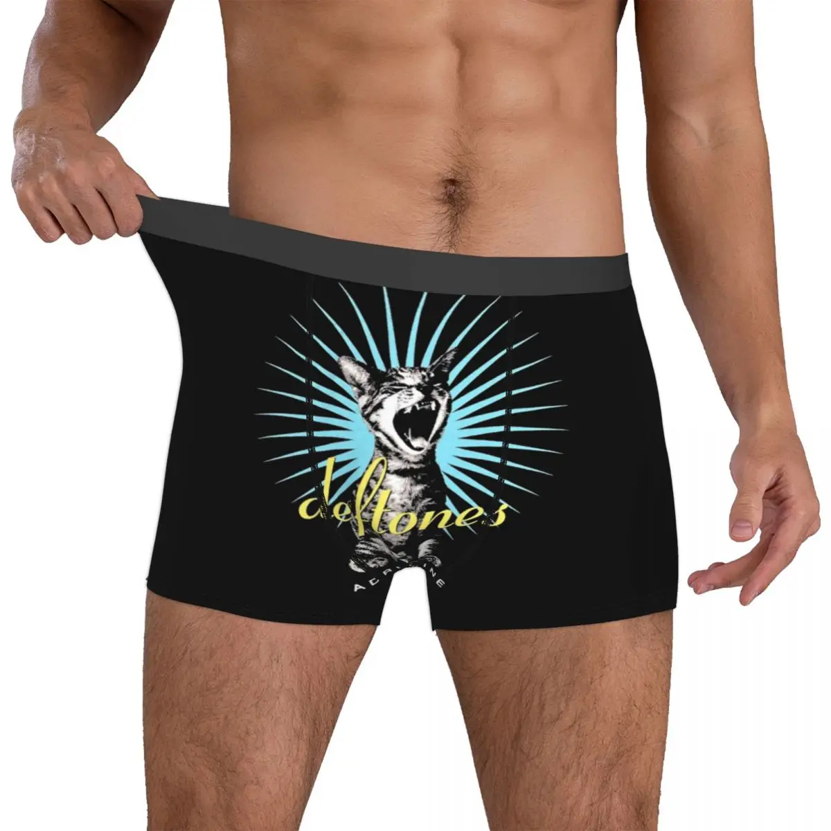 Humor Boxer Vintage Deftones Metal Band Shorts Panties Men Underwear White Pony Album Mid Waist Underpants for Male S-XXL