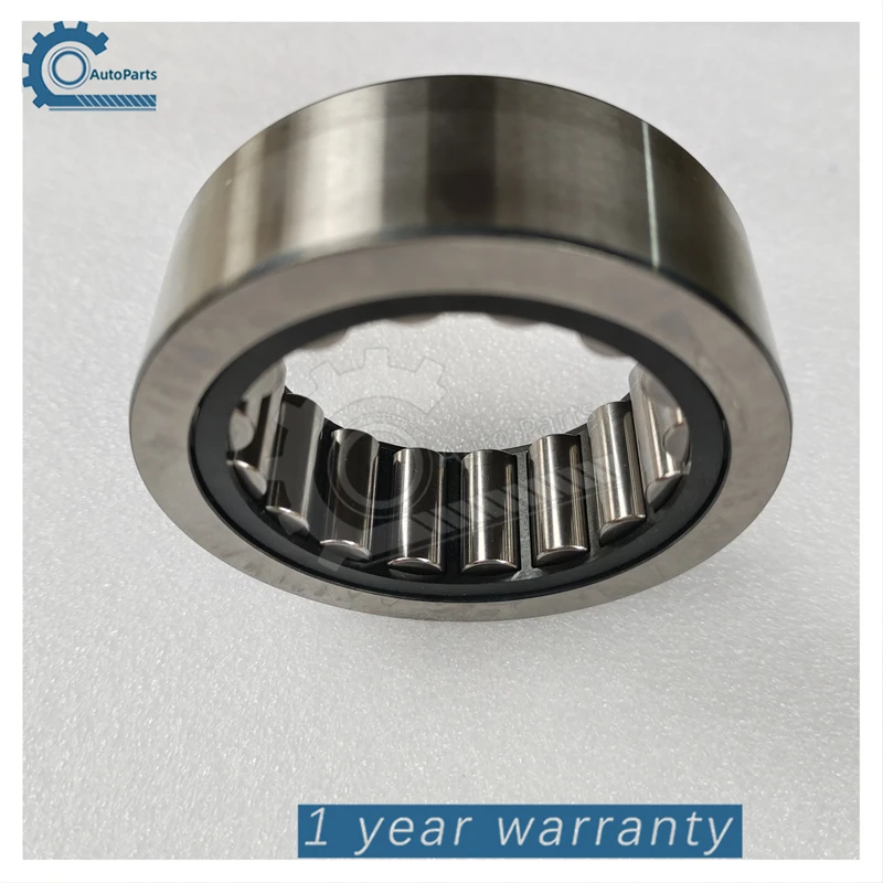 Original New F-240039 Cylindrical Roller Bearing Fit for Audi