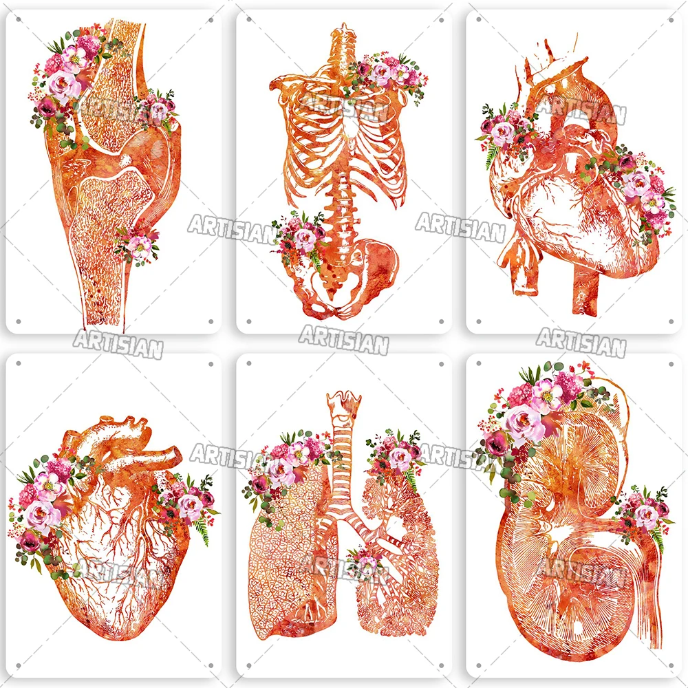Artisian Anatomy Metal Poster Medical Tin Sign Hospital Decorative Plaque Clinic Organ Dentisit Wall Decor Garage Bar Pub Club view 4