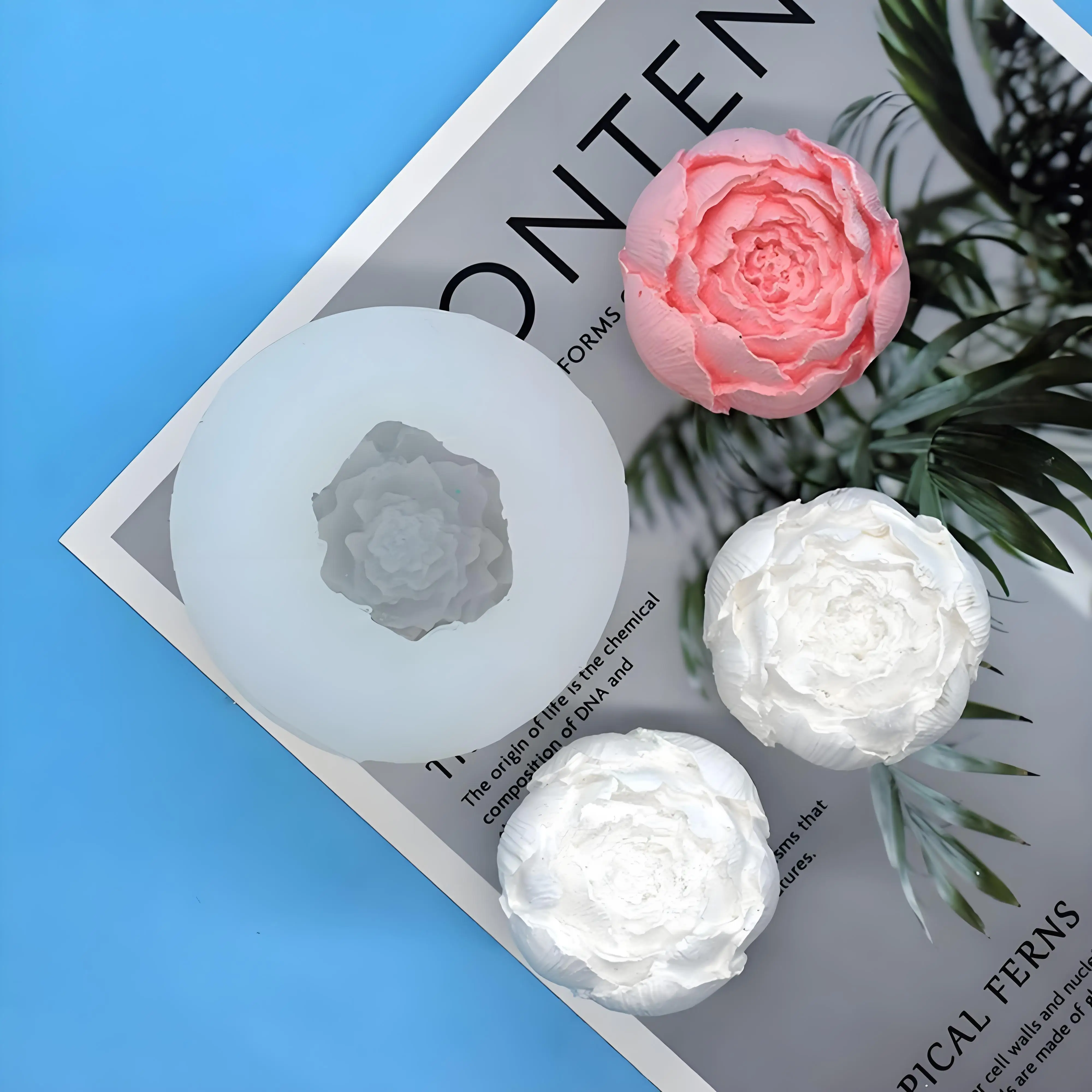 Rosa Con Capullos, … - image