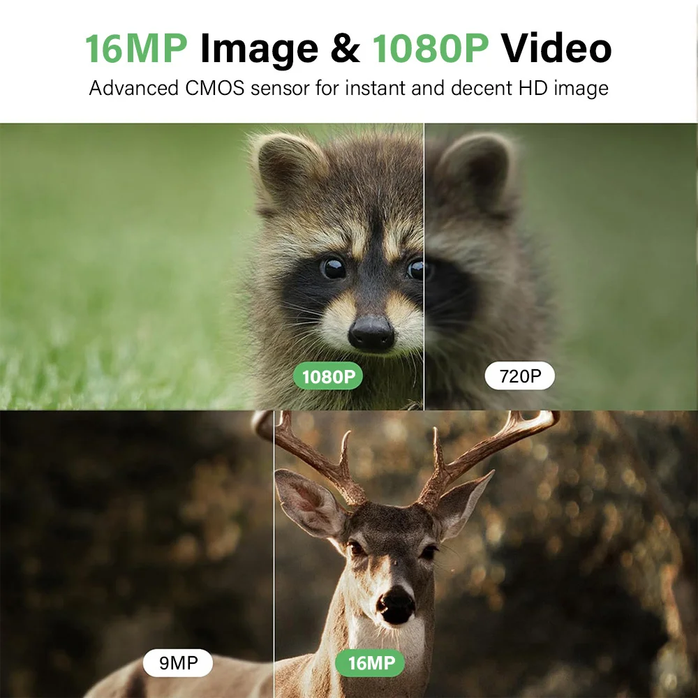 Thumbnail 3 - #44 New Wildlife Cameras Arrivals