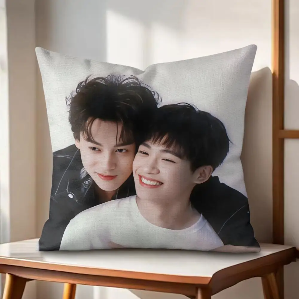 Tv Series R-revenged Love Cushion Cover Eco Linen Pillow Case Double-Sided Print Breathable Durable Zipper Home Decor Gift