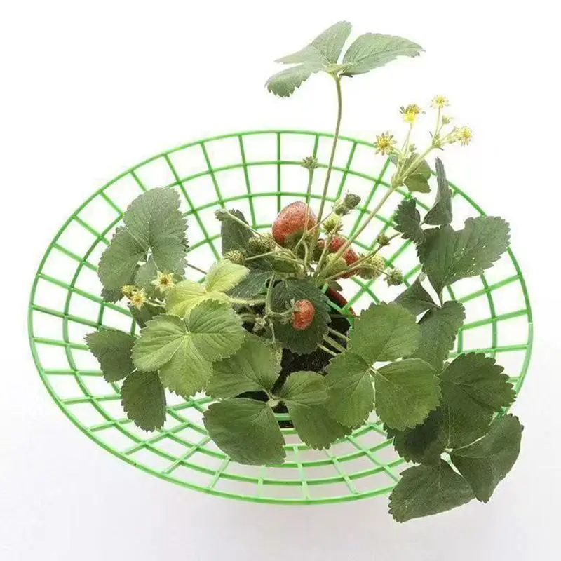 Strawberry Plant Support Stand with Thickened Legs Durable Plastic Round Growing Rack for Outdoor Garden Vegetable Growing