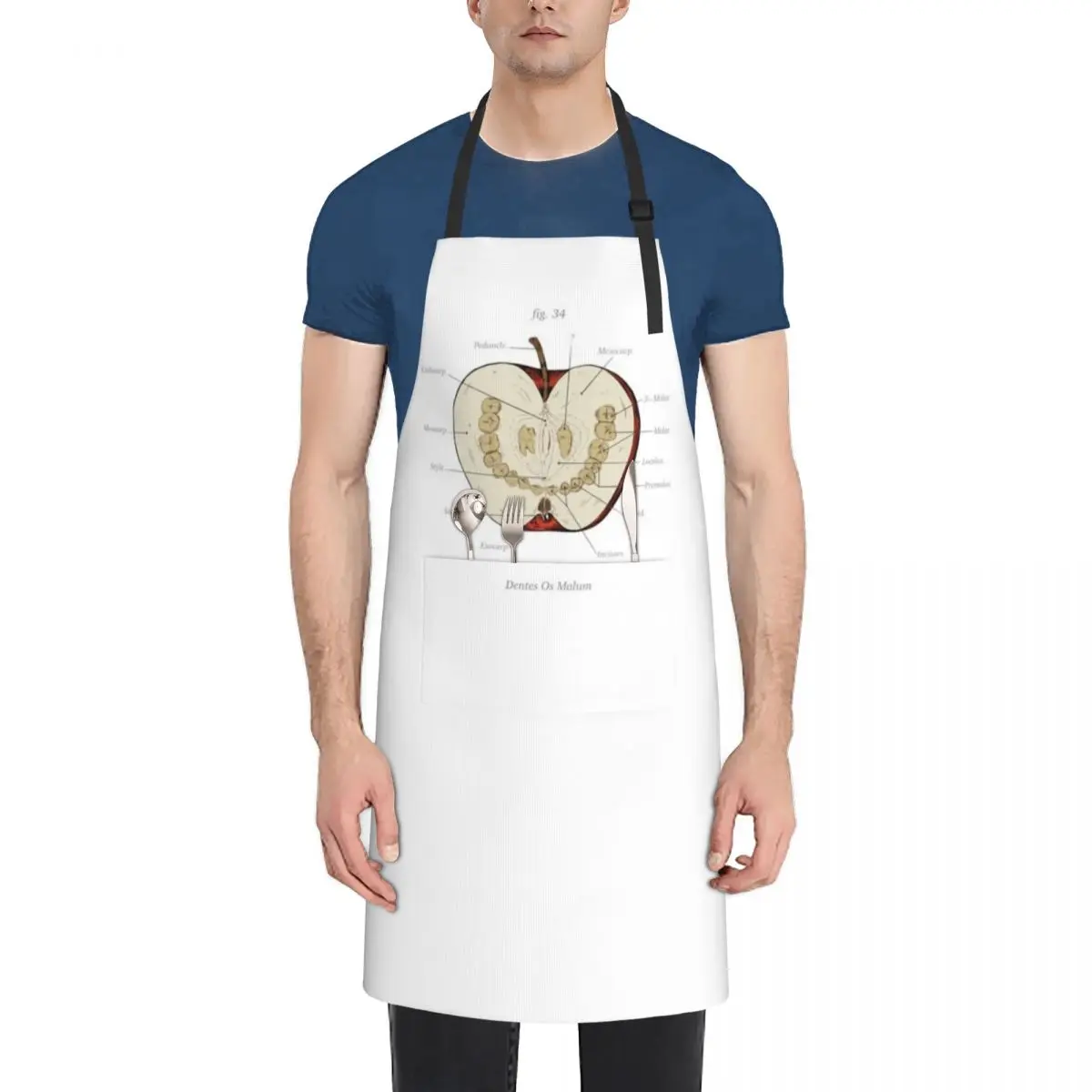 

The Magnus Archives - Anatomy Class - Teeth Apple Apron Sexy work ladies Women's Dress men's barbecue Apron