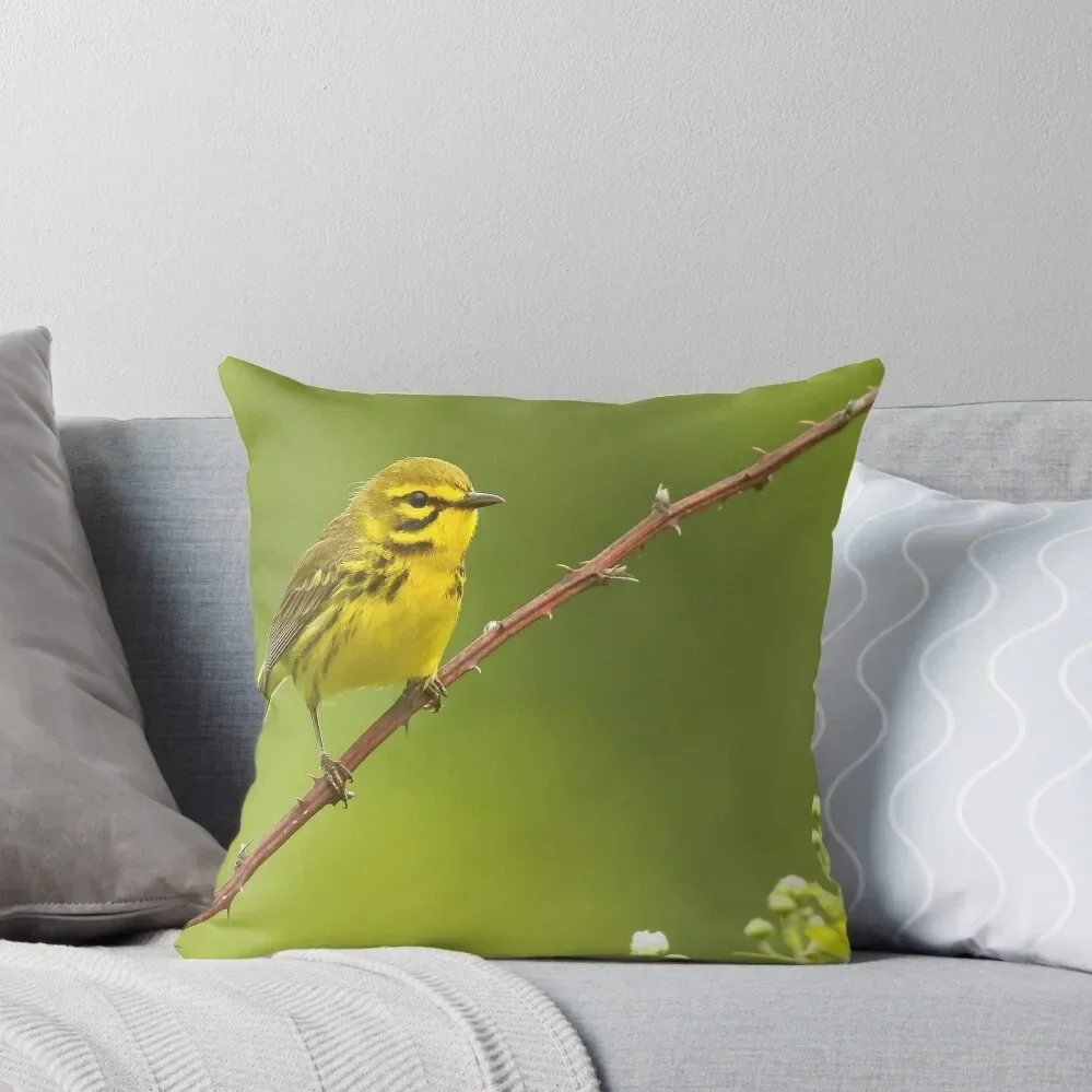 

Prairie Warbler Throw Pillow Marble Cushion Cover pillows decor home Christmas Covers pillow