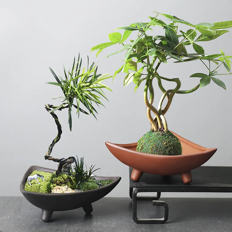 Creative Personality: Special Ceramic Flower Pot Plants for Wen Bamboo, Indoor Micro-landscape, Purple Sand Fortune Tree Potted