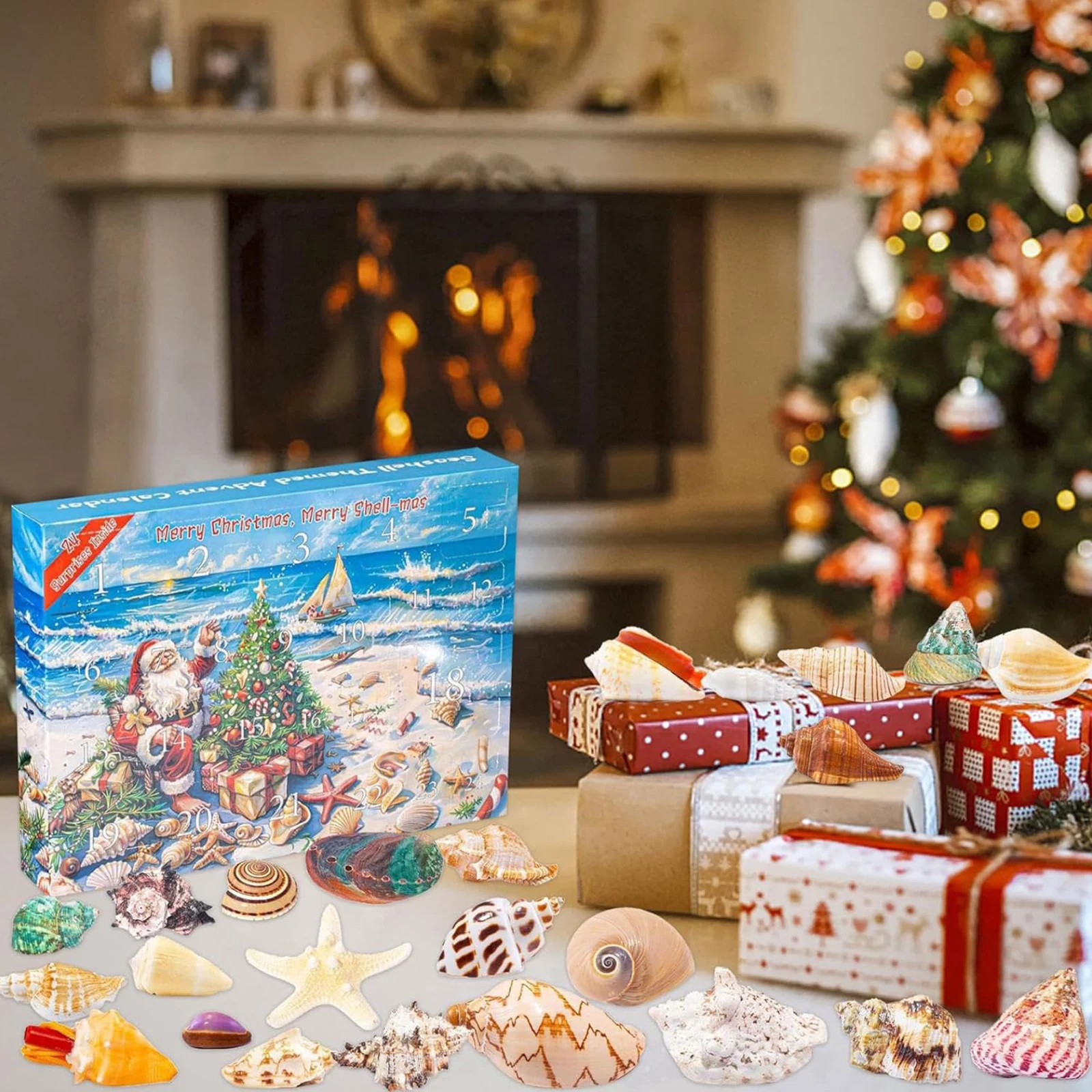 

Ракушки, 24-дневный рождественский календарь обратного отсчета, рождественский адвент-календарь, рождественский календарь обратного отсчета, морские научные подарки