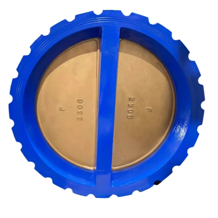 Ductile iron body, Al-bronze C95400 disc DN1000 wafer dual plate check valve with PN10 flange connection provided by TWS valve