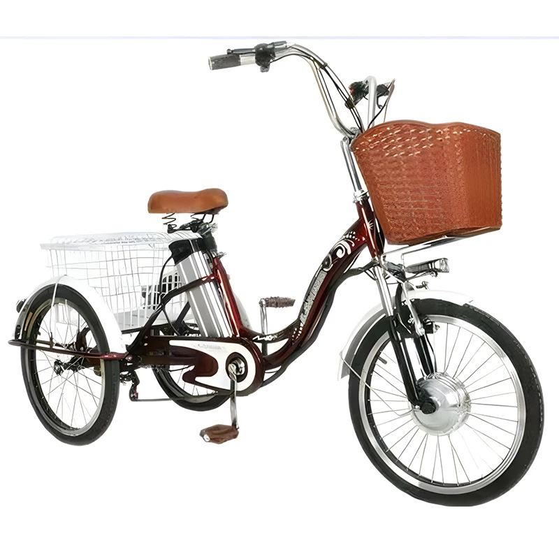 

Three-wheel Electric Bicycle For Adults 48v 350w Electric Tricycle For Elderly 3 Wheels Electric Mobility Scooter