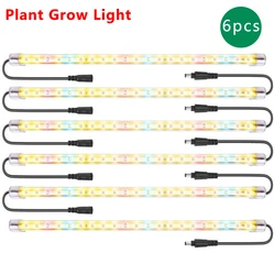 6 confezioni Phytolamp per piante serre Luci LED rosse a spettro completo Lampada timer ciclo automatico per piante Lampada da coltivazione per interni