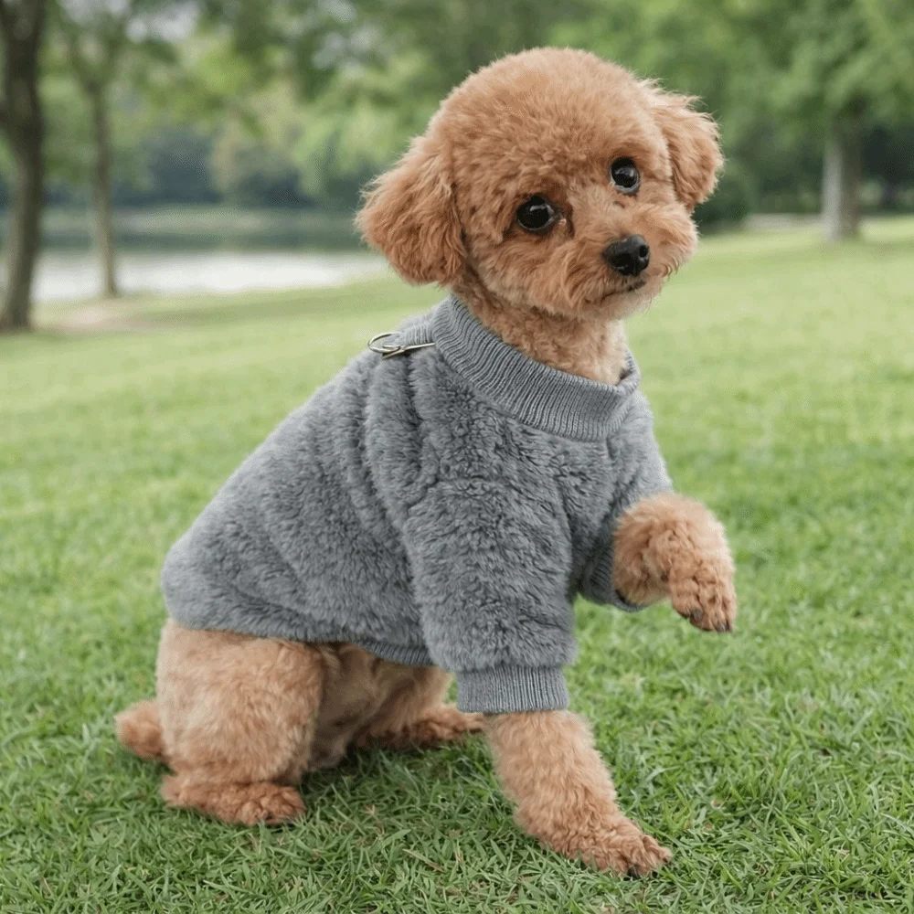 

Thicken Fleece Dog Sweatshirt Double-Faced Fleece Warm Winter Puppy Clothes with Traction Ring Soft Dog Hoodie Outdoor