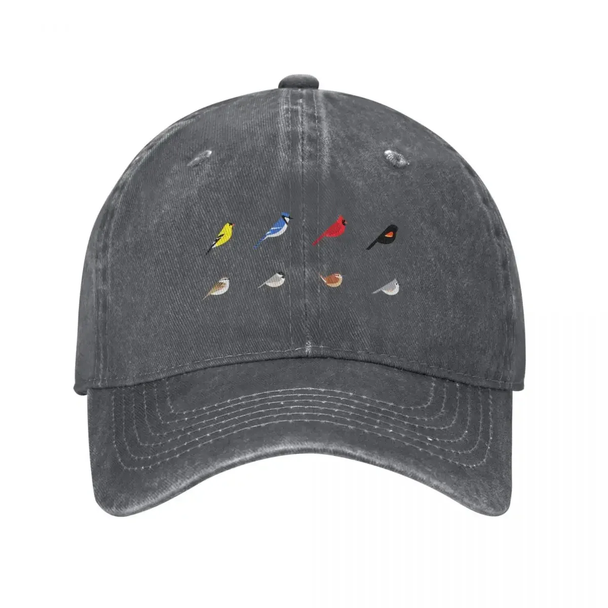 Common Backyard Birds of North America Baseball Cap Big Size Hat Ball Cap Caps Women Men's