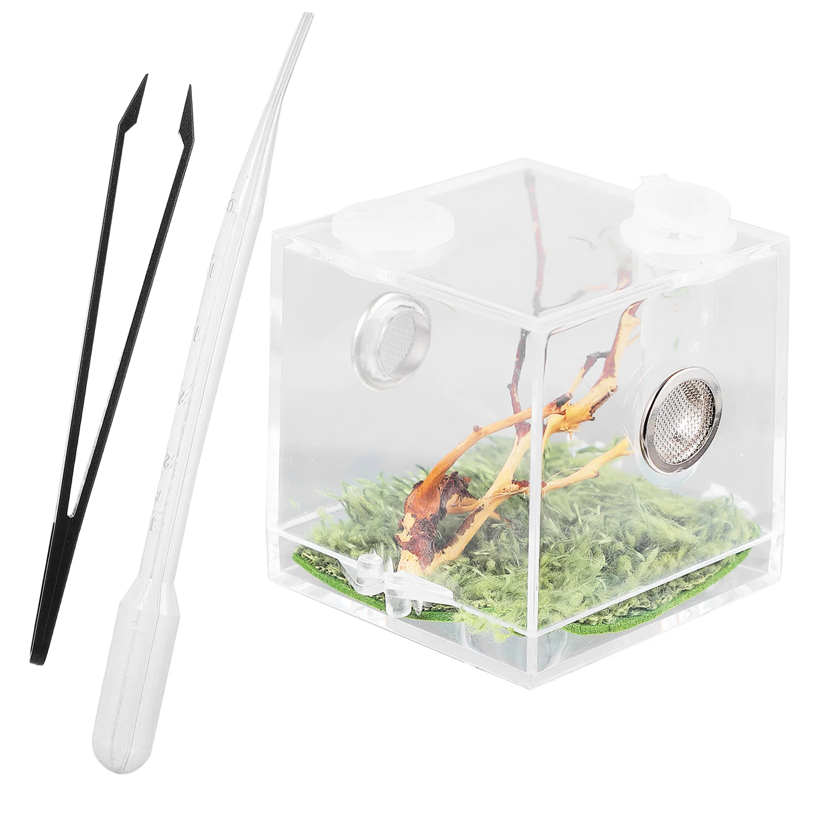 

Reptile Breeding Box Acrylic Transparent Terrarium Dropper Forceps Portable Small Crawling Insect Pet Cage Spider Turtle Care