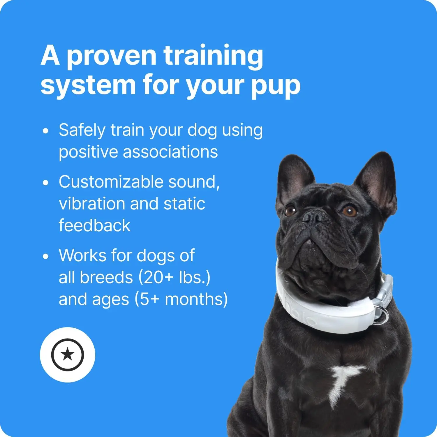 Valla GPS para perros, Collar de entrenamiento inalámbrico multifunción con seguimiento en tiempo Real y GPS, resistente al agua (mediano/grande, Graph